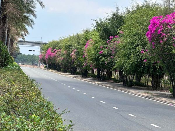 Cây xanh công trình – Điểm nhấn cho đô thị văn minh