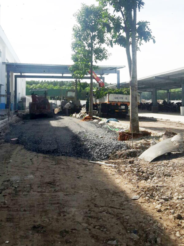 Thi công công ty Tín Thuận Phát